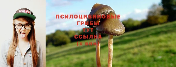 гидра Баксан