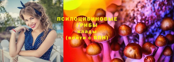 дмт Ростов