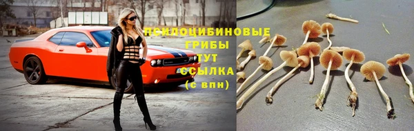 дмт Ростов