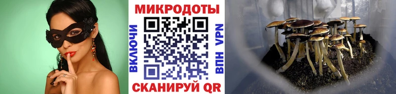 где можно купить   Спасск-Дальний  Галлюциногенные грибы MAGIC MUSHROOMS 